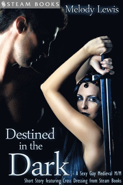 Steam Books, Melody Lewis - Destined in the Dark - Historical Cross-Dressing Medieval M/M Erotica from Steam Books, E-bok