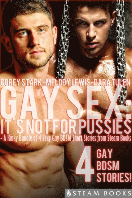 Dara Tulen, Melody Lewis, Corey Stark - Gay Sex: It's Not For Pussies - A Kinky Bundle of 4 Sexy Gay BDSM Short Stories from Steam Books, E-bok