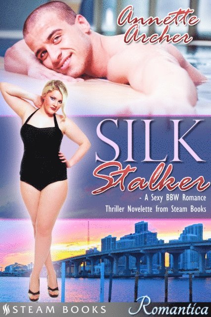 Steam Books, Annette Archer - Silk Stalker - A Sexy BBW Romance Thriller Novelette from Steam Books, E-bok