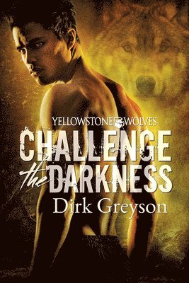 Dirk Greyson - Challenge the Darkness, Häftad