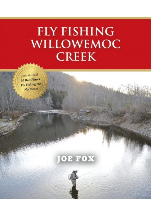 Joe Fox - Fly Fishing Willowemoc Creek, E-bok