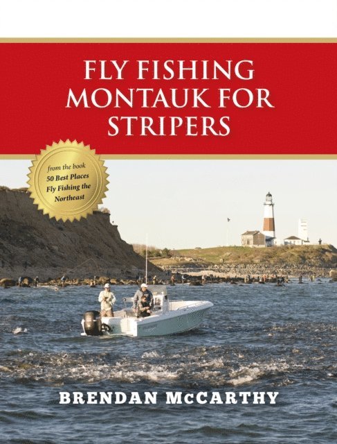Brendan McCarthy - Fly Fishing Montauk for Stripers, E-bok