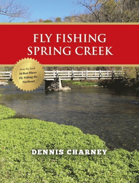 Dennis Charney - Fly Fishing Spring Creek, E-bok