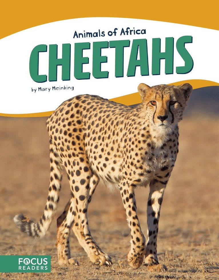 Mary Meinking - Cheetahs, Inbunden