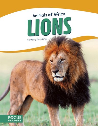 Mary Meinking - Lions, Häftad