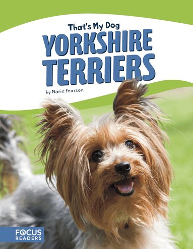 Marie Pearson - Yorkshire Terriers, Inbunden