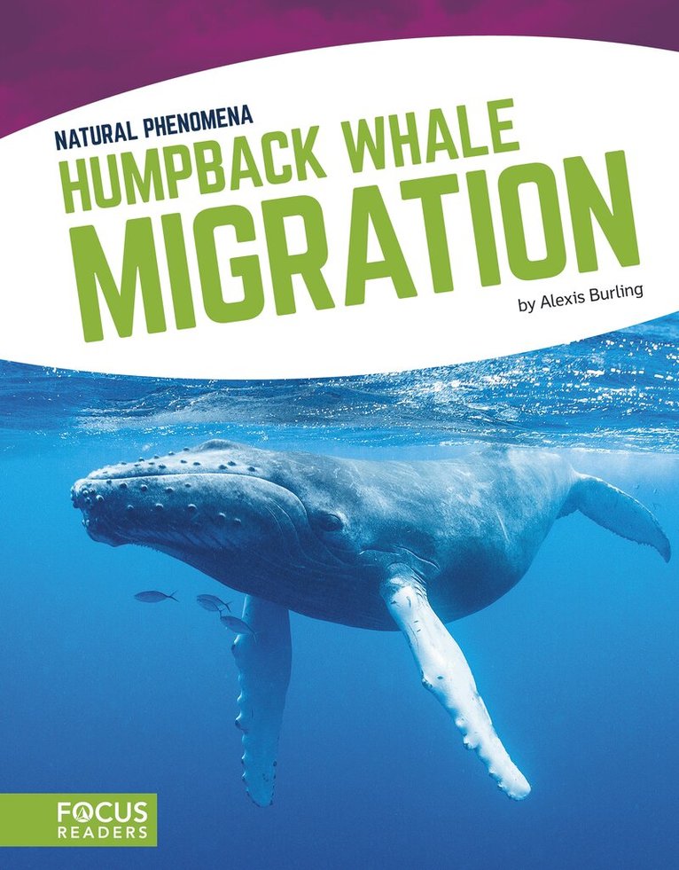 Alexis Burling - Humpback Whale Migration, Inbunden