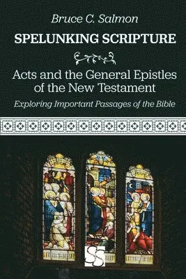 Bruce C. Salmon - Acts and the General Epistles of the New Testament, Häftad. Tillgänglighet: Lägg i varukorg