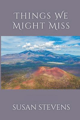 Susan Stevens - Things We Might Miss, Häftad