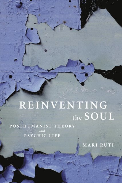 Mari Ruti - Reinventing the Soul, E-bok