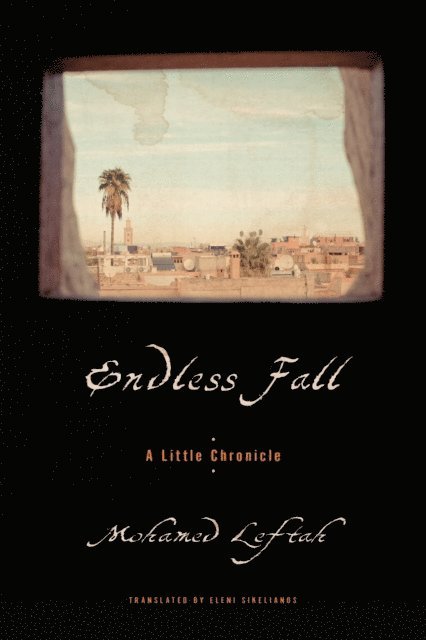 Mohamed Leftah - Endless Fall, E-bok