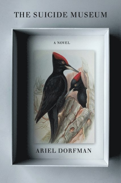 Ariel Dorfman - Suicide Museum, E-bok