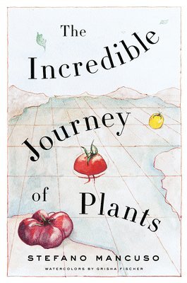 Stefano Mancuso - The Incredible Journey of Plants, Inbunden