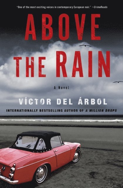 Victor del Arbol - Above the Rain, E-bok