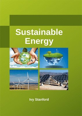 Ivy Stanford - Sustainable Energy, Inbunden