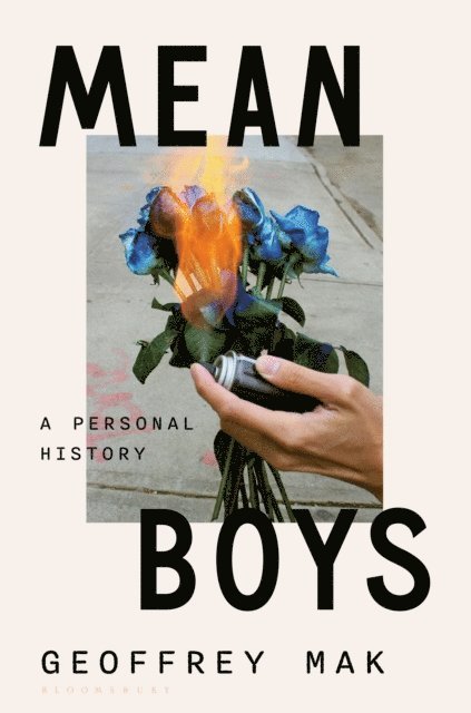 Geoffrey Mak - Mean Boys, E-bok