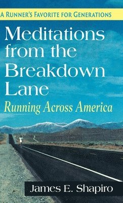 James E Shapiro - Meditations from the Breakdown Lane, Inbunden