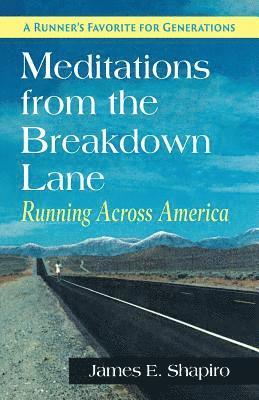 James E Shapiro - Meditations from the Breakdown Lane, Häftad