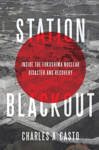 Charles A. Casto - Station Blackout, E-bok