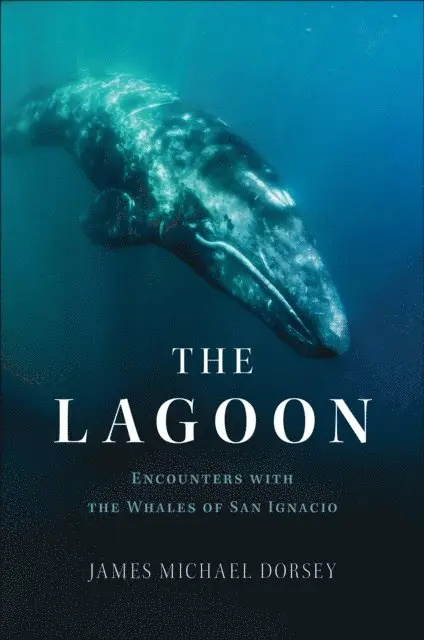 James Michael Dorsey - Lagoon, E-bok. Tillgänglighet: Lägg i varukorg