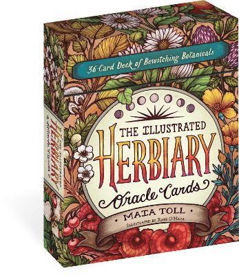 Illustrated Herbiary Oracle Cards av Maia Toll, Kate O'Hara, Mata Toll