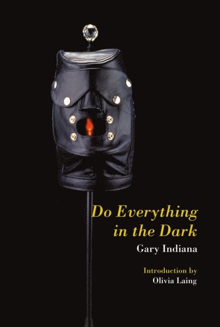 Gary Indiana - Do Everything in the Dark, E-bok