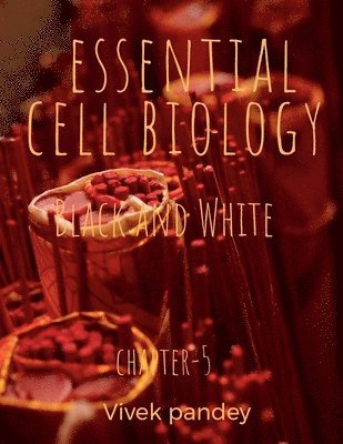 Vivek Pandey - essential cell biology 5 (black and white), Häftad