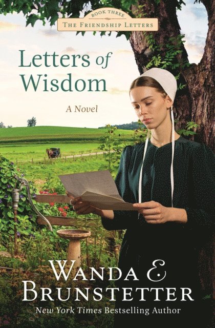 Wanda E. Brunstetter - Letters of Wisdom, E-bok