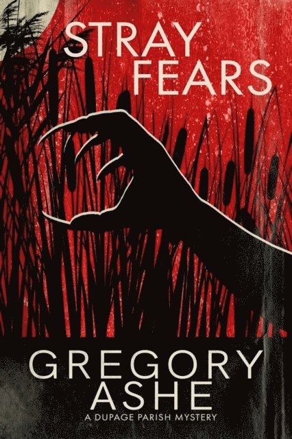 Gregory Ashe - Stray Fears, E-bok. Tillgänglighet: Lägg i varukorg