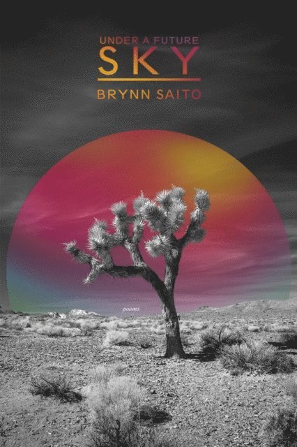 Brynn Saito - Under a Future Sky, E-bok