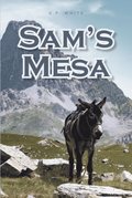 Sam's Mesa