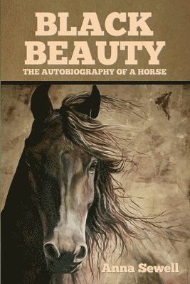 Anna Sewell - Black Beauty, Häftad