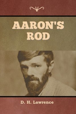 D H Lawrence - Aaron's Rod, Häftad