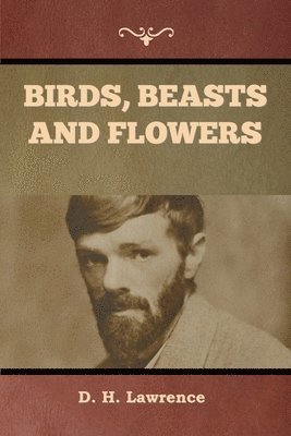 D H Lawrence - Birds, Beasts and Flowers, Häftad
