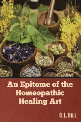 B L Hill - Epitome of the Homeopathic Healing Art, Häftad
