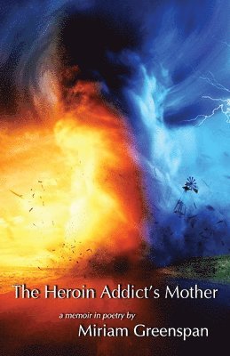 Miriam Greenspan - Heroin Addict's Mother, Häftad