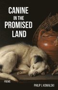 Canine in the Promised Land