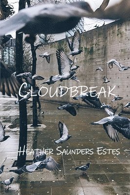 Heather Saunders Estes - Cloudbreak, Häftad