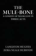 mule-bone a comedy of Negro life in three acts