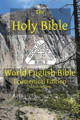 Michael Paul Johnson - Holy Bible, Häftad