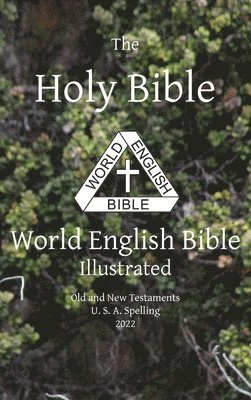 Michael Paul Johnson - Holy Bible, Inbunden