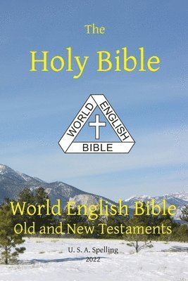Michael Paul Johnson - Holy Bible, Häftad