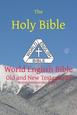 Michael Paul Johnson - Holy Bible, Häftad