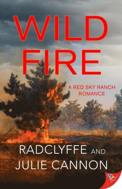 Julie Cannon, Radclyffe - Wild Fire, E-bok