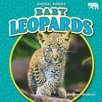 Jenna Grodzicki - Baby Leopards, Häftad