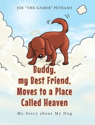 Joe The Gamer Petraro - Buddy, my Best Friend, Moves to a Place Called Heaven, Inbunden. Tillgänglighet: Lägg i varukorg