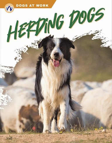 Marie Pearson - Herding Dogs, Häftad