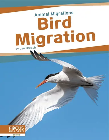 Jen Breach - Bird Migration, Inbunden