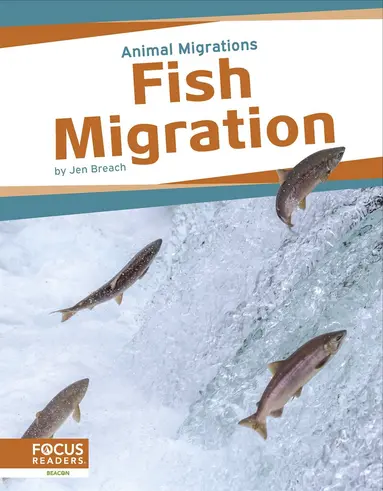 Jen Breach - Fish Migration, Häftad