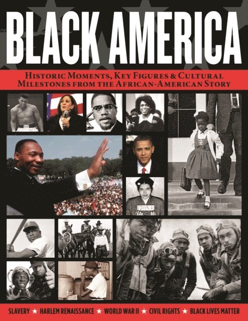 Erica Armstrong Dunbar, Dr. Peniel E. Joseph, Kehinde Andrews - Black America, E-bok